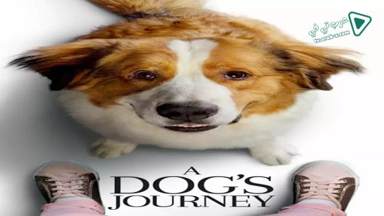 فيلم A Dog’s Journey 2019 مترجم