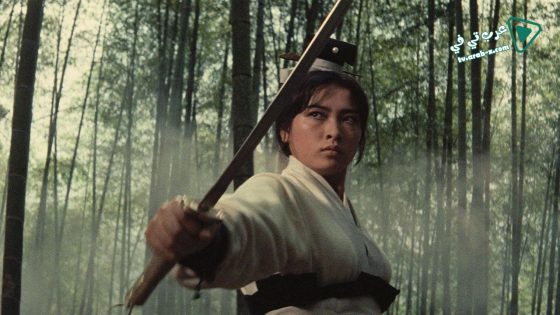 فيلم A Touch of Zen 1971 مترجم