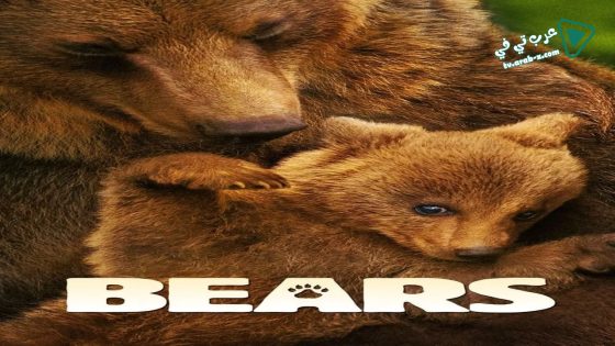فيلم Bears 2014 مترجم