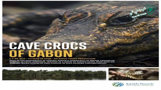 فيلم Cave Crocs of Gabon 2018 مترجم
