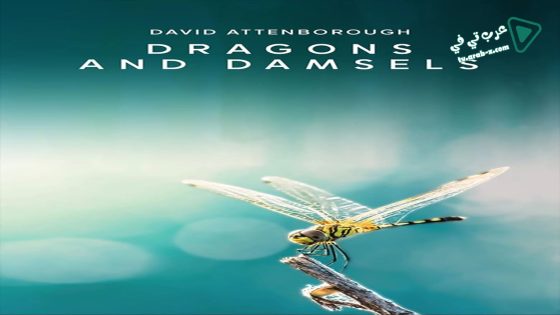 فيلم Dragons and Damsels 2020 مترجم