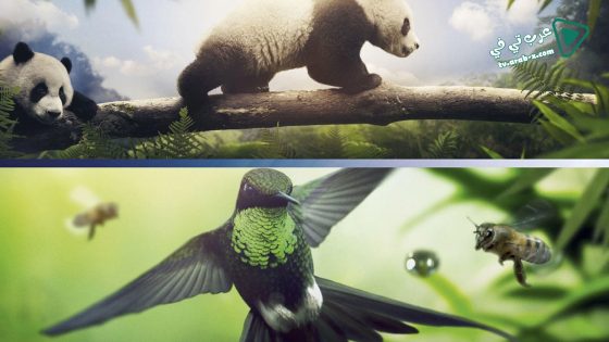 فيلم Earth One Amazing Day 2017 مترجم