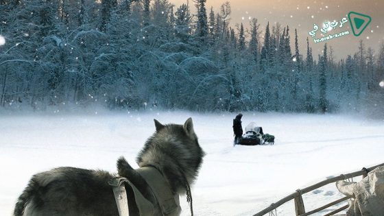 فيلم Happy People A Year in the Taiga 2010 مترجم