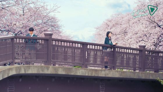 فيلم Let Me Eat Your Pancreas 2017 مترجم