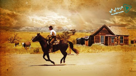 فيلم Love’s Enduring Promise 2004 مترجم