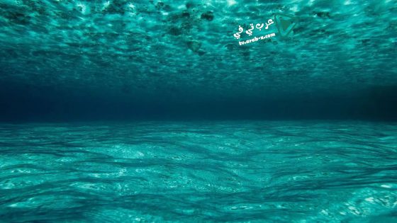 فيلم OceanWorld 3D 2009 مترجم