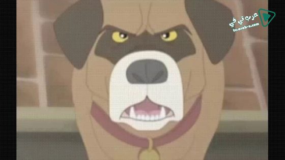 فيلم Pirate’s Passage 2015 مترجم