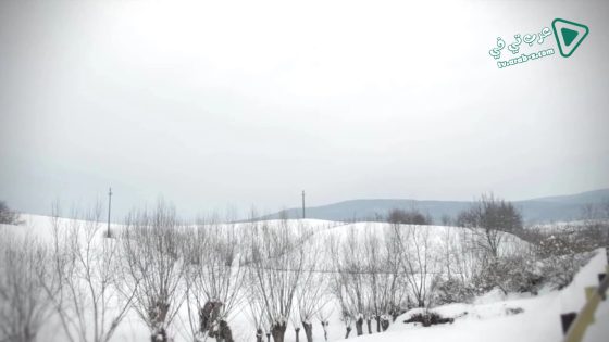 فيلم The Devil Within 2016 مترجم